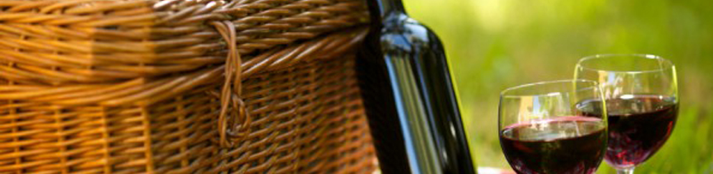 Báječné léto u vinaře v roce 25