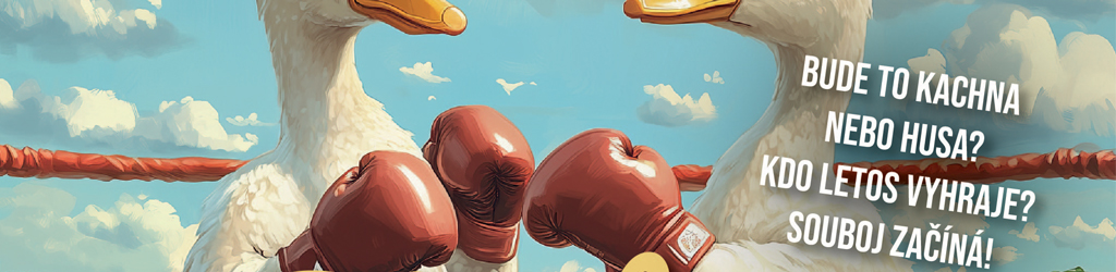 Svatomartinské vína s husími specialitami  - 6. -  7. 11. 2026